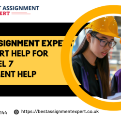 Get Expert Help for CIPD Level 7 Assignment Help