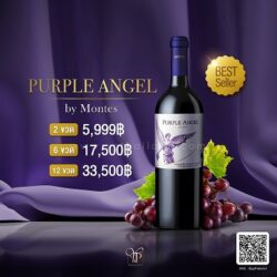 montes purple angel ราคา