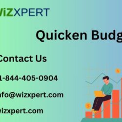 Quicken Budget