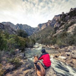 wanderlust-man-dog-wild-mountains-by-river_643825-4199