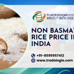 3. Non Basmati rice price in India