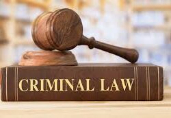 criminal defense services