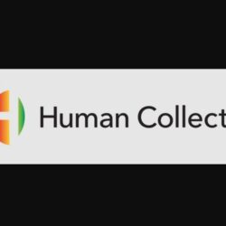 human resources consultant