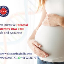 Non-Invasive-Prenatal-Paternity-DNA-Test