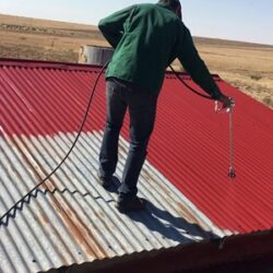 Roof Painting