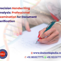 Precision-Handwriting-Analysis-Professional-Examination-for-Document-Verification