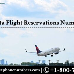 Delta phone banner 409