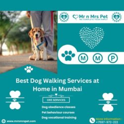 Dog Walking Services in Mumbai