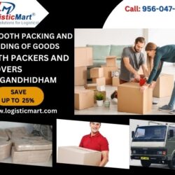 best packers and movers gandhidham