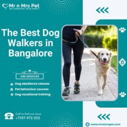 Dog Walkers in Bangalore