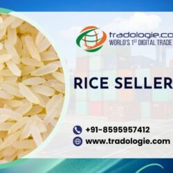 11. Rice seller