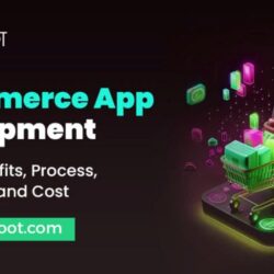 ecommerce-12