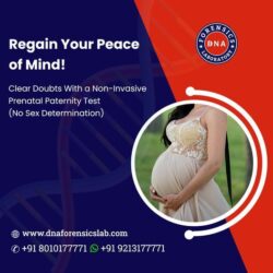 Non-Invasive Prenatal Paternity Tests