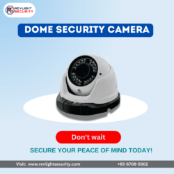 _Dome Security Camera (1)