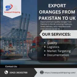 Export Oranges from Pakistan to Uk