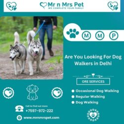 Dog Walkers in Delhi