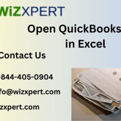 Open QuickBooks file in Excel