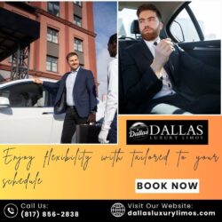 Dallas Flexible Limo Rental