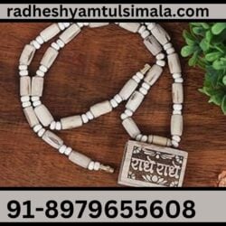 Radheshyamtulsimala.com (4)