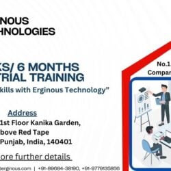 Erginous_Technologies-Best industrial training in Rajpura