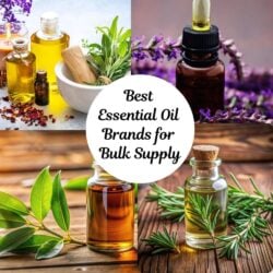 Best essential oil