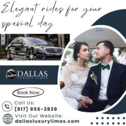 Wedding Transportation in Dallas