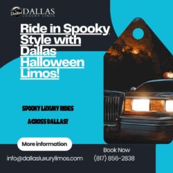 Dallas Halloween Limo