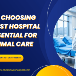 Why Choosing the Best Hospital is Essential for Optimal Care-min