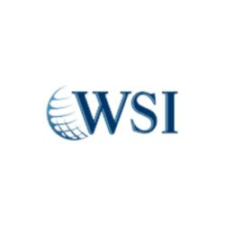 wsi smart marketing logo