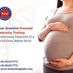 Non-Invasive-Prenatal-Paternity-Testing-child