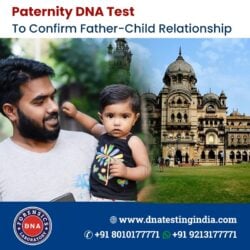 Paternity DNA test (2)