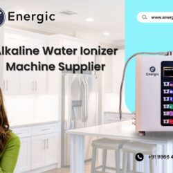 energic blog (1)