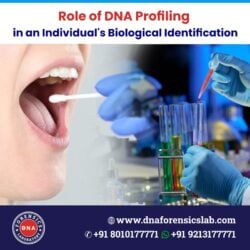 DNA Profiling