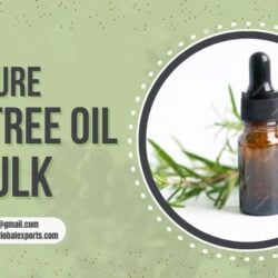 Buy Pure Tea Tree Oil in Bulk