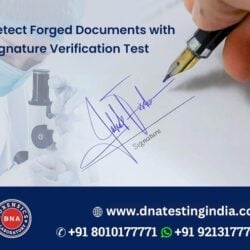 Signature Verification (2)