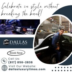 Affordable Limo Rental Dallas Cost