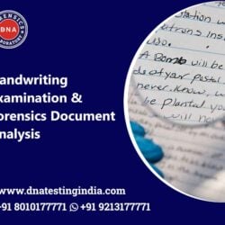 Handwriting Examination