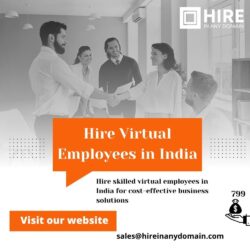 Hire Virtual Employees in India