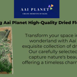 Aai_Planet_High_quality_Dried_flowers_pack_optimized_250