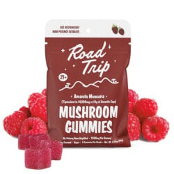 road-trip-amanita-muscaria-mushroom-gummies-raspberry