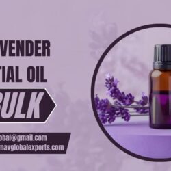 Buy Pure Lavender Essential Oil in Bulk at Wholesale Price