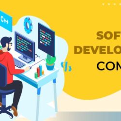 Software Devlopment company