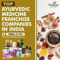 Top-Ayurvedic-Medicine-Franchise-Companies-in-India-1024x1024