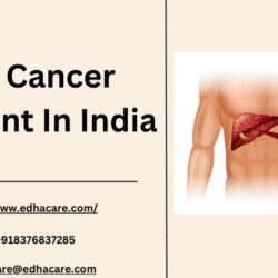 _Liver Cancer Treatment In India