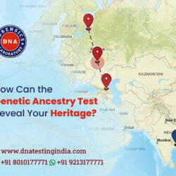 Explore-Your-Roots--Get-the-Best-Genetic-Ancestry-Testing-to-Reveals-Your-Past