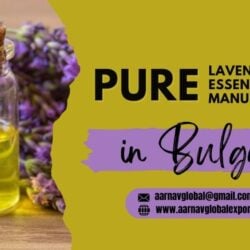 Pure Lavender Essential Oil Manufacturer in Bulgaria