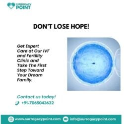 IVF and Fertility Clinic - Surrogacy Point-1