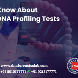 DNA Profiling test