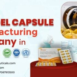 Best-Softgel-Capsule-Manufacturer-in-India (1)