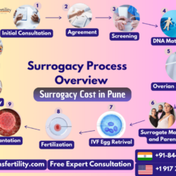 Low Surrogacy Cost in Pune